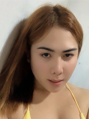 Thai ladyboys for dating / Ladyboys from Philippines for dating