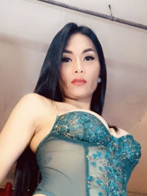 Thai ladyboys for dating / Ladyboys from Philippines for dating