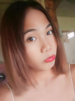 Thai ladyboys for dating / Ladyboys from Philippines for dating