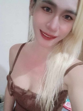 Thai ladyboys for dating / Ladyboys from Philippines for dating