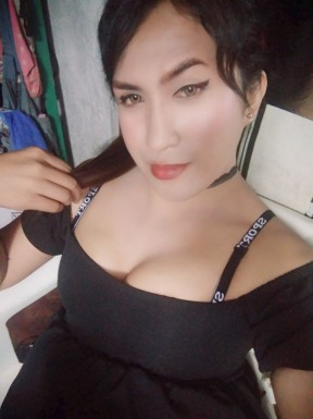 Thai ladyboys for dating / Ladyboys from Philippines for dating