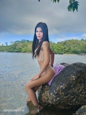 Thai ladyboys for dating / Ladyboys from Philippines for dating