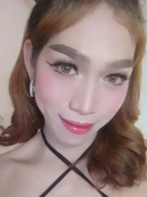 Thai ladyboys for dating / Ladyboys from Philippines for dating