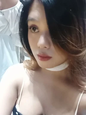 Thai ladyboys for dating / Ladyboys from Philippines for dating